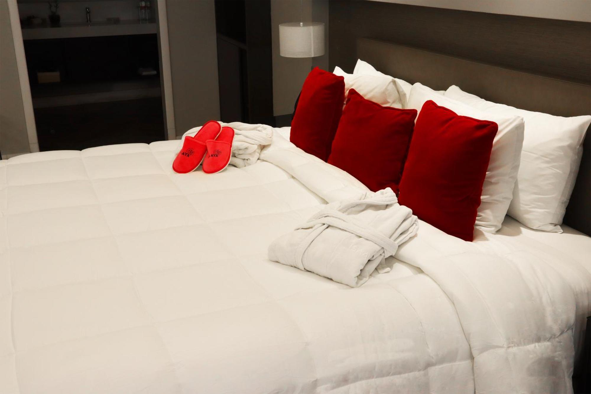 Isaaya Hotel Boutique By Wtc Mexico-stad Buitenkant foto